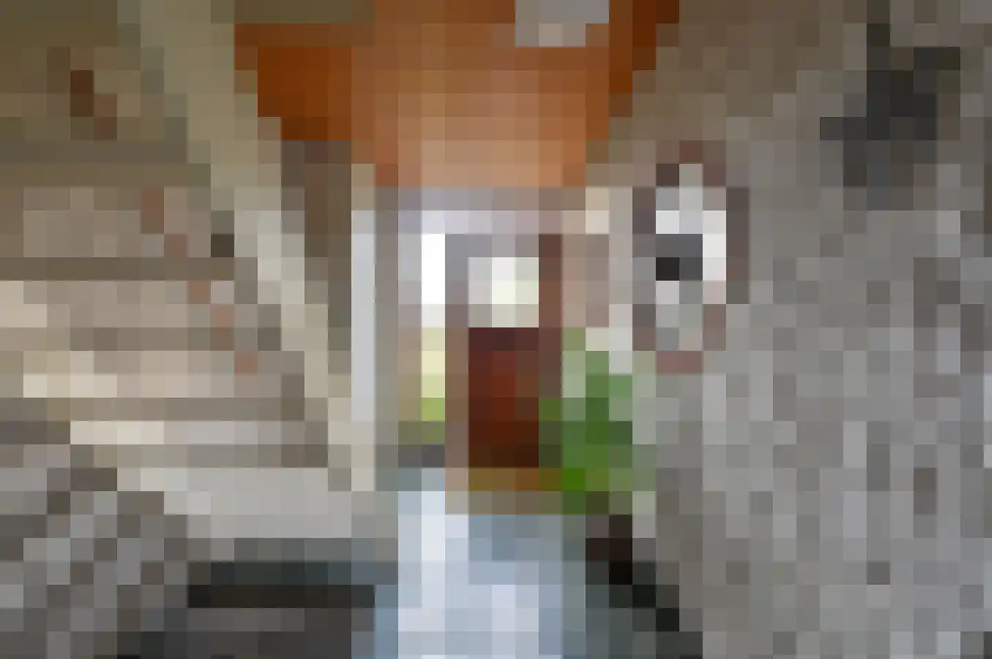 Jacob van Ruysdaelstraat 8 Nederhorst den Berg thumbnail 4
