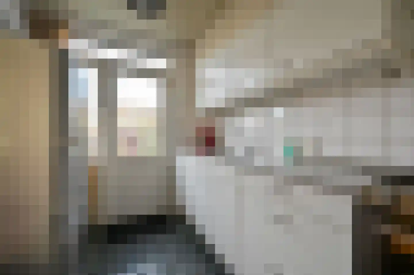 Jacob van Ruysdaelstraat 8 Nederhorst den Berg thumbnail 8