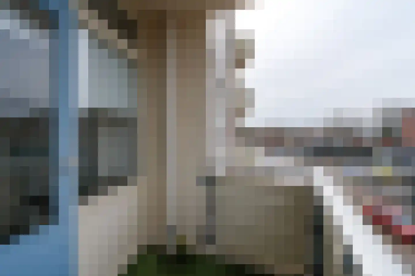 Jacob van Ruysdaelstraat 84 Almelo thumbnail 12