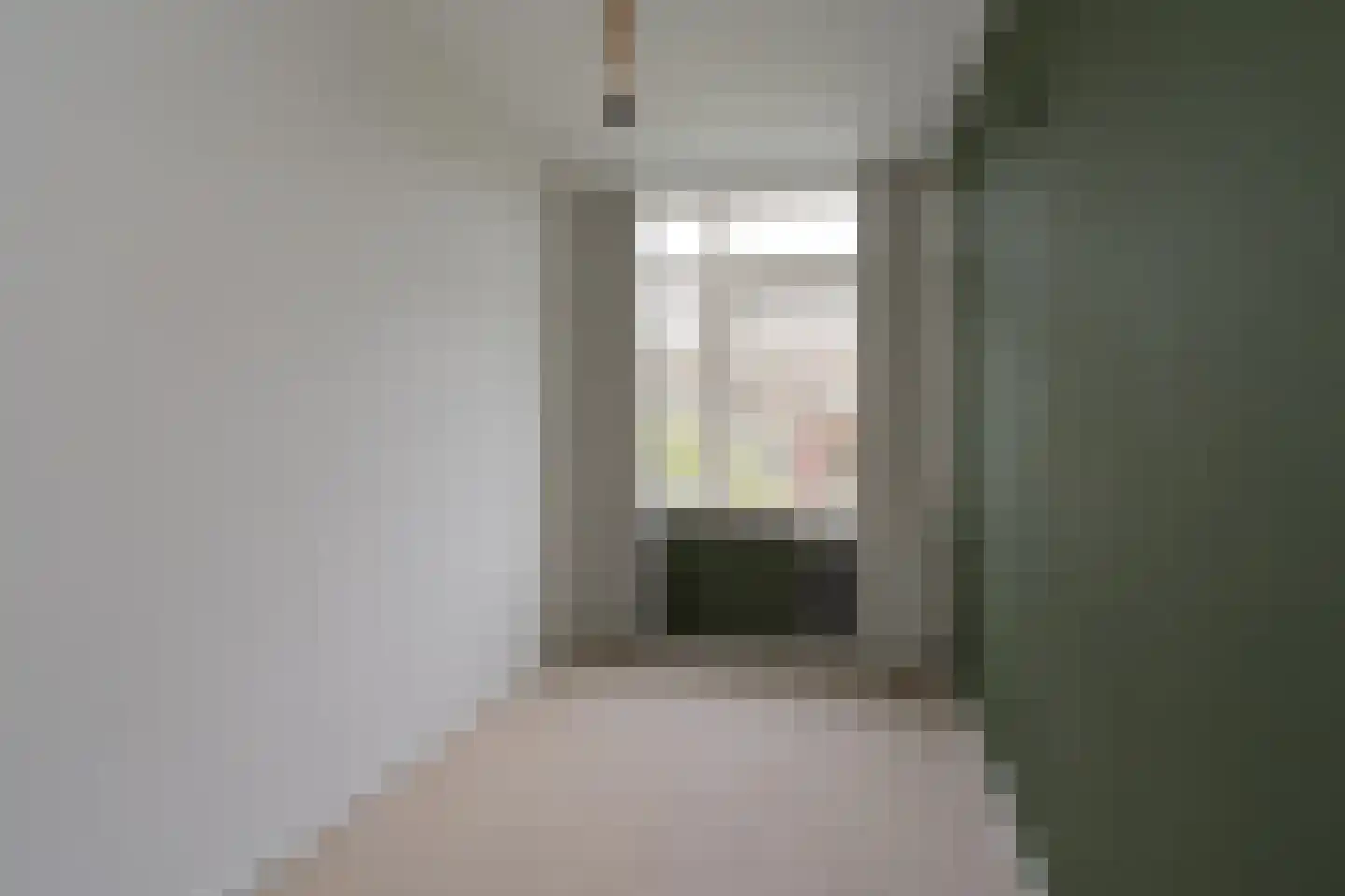 Jacob van Ruysdaelstraat 84 Almelo thumbnail 17