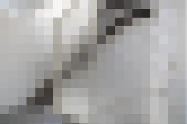 Jacob van Ruysdaelstraat 9 b Almelo thumbnail 21
