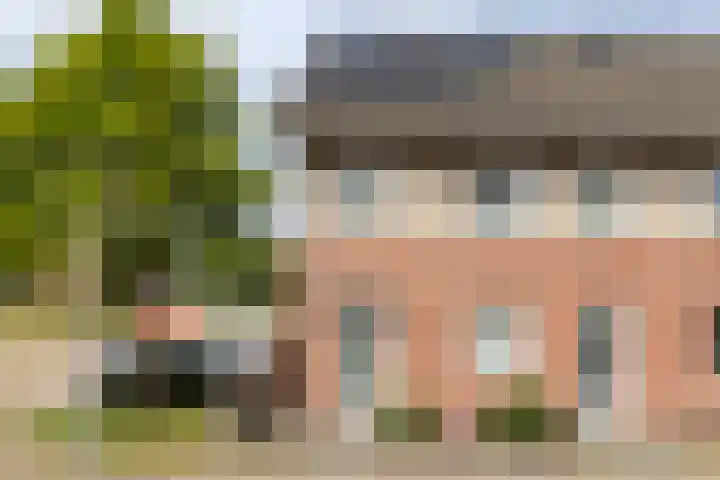 Jacob van Ruysdaelstraat 9 g Almelo