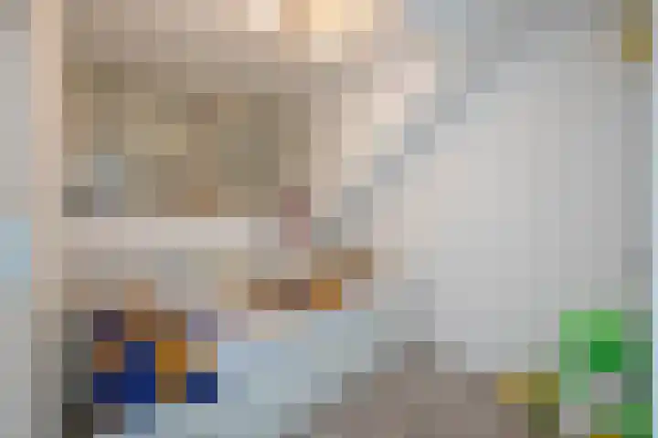 Jacob van Ruysdaelstraat 9 g Almelo thumbnail 21