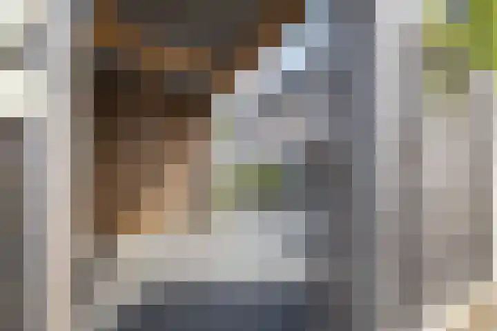 Jacob van Ruysdaelstraat 9 g Almelo thumbnail 24