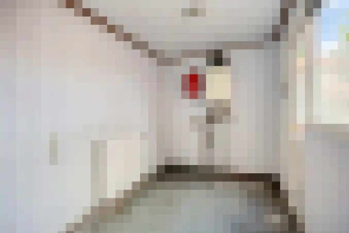 Jacob van Ruysdaelstraat 9 Hoogezand thumbnail 21