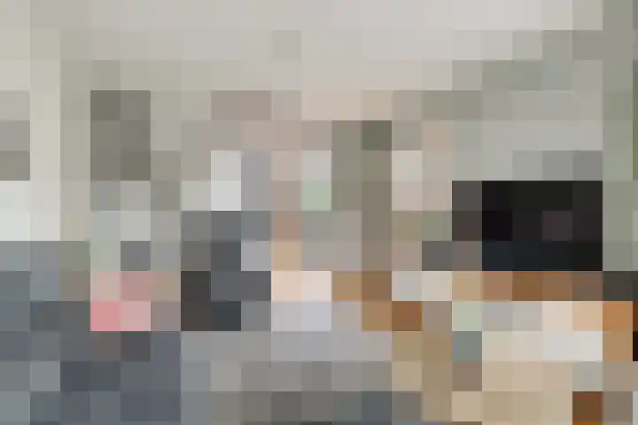 Jacob van Strijplein 16 Alkmaar thumbnail 10