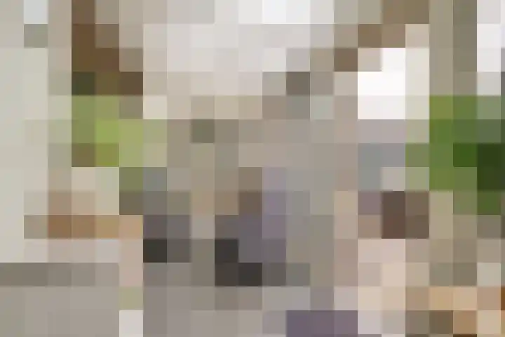 Jacob van Strijplein 16 Alkmaar thumbnail 17