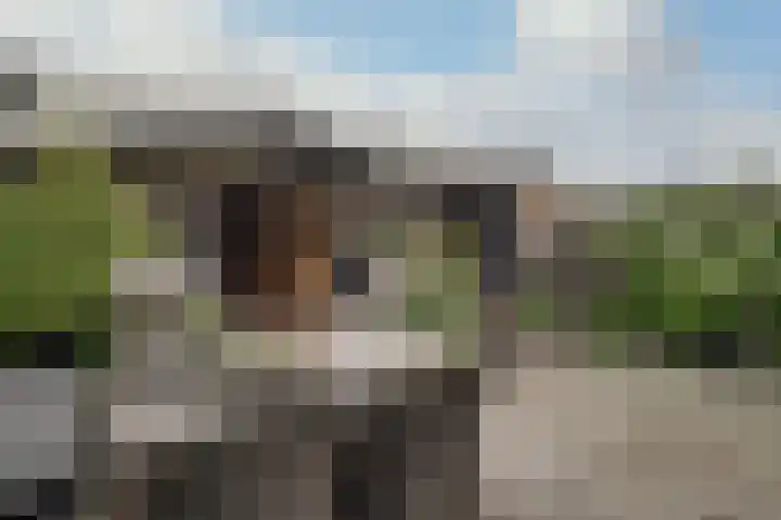 Jacob van Strijplein 16 Alkmaar thumbnail 19