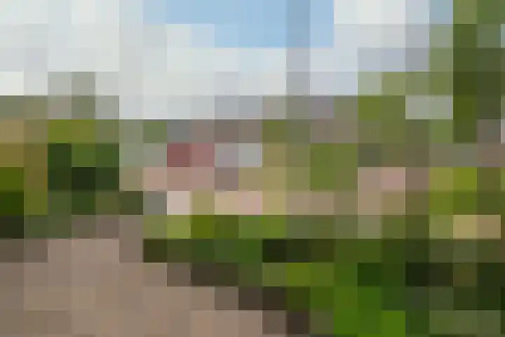 Jacob van Strijplein 16 Alkmaar thumbnail 48