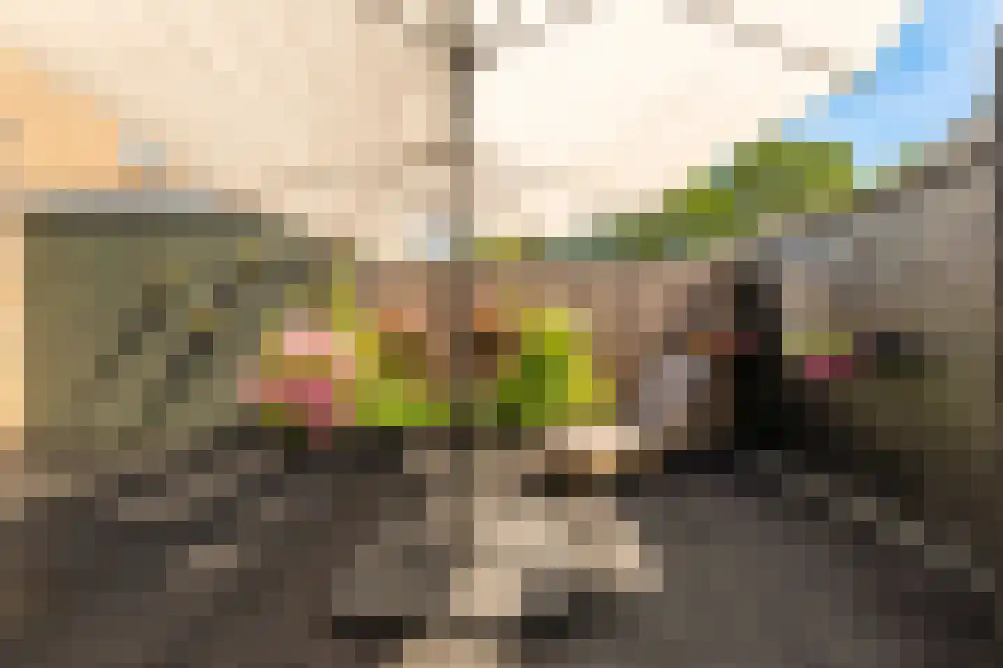 Jacob van Strijplein 3 Alkmaar thumbnail 32