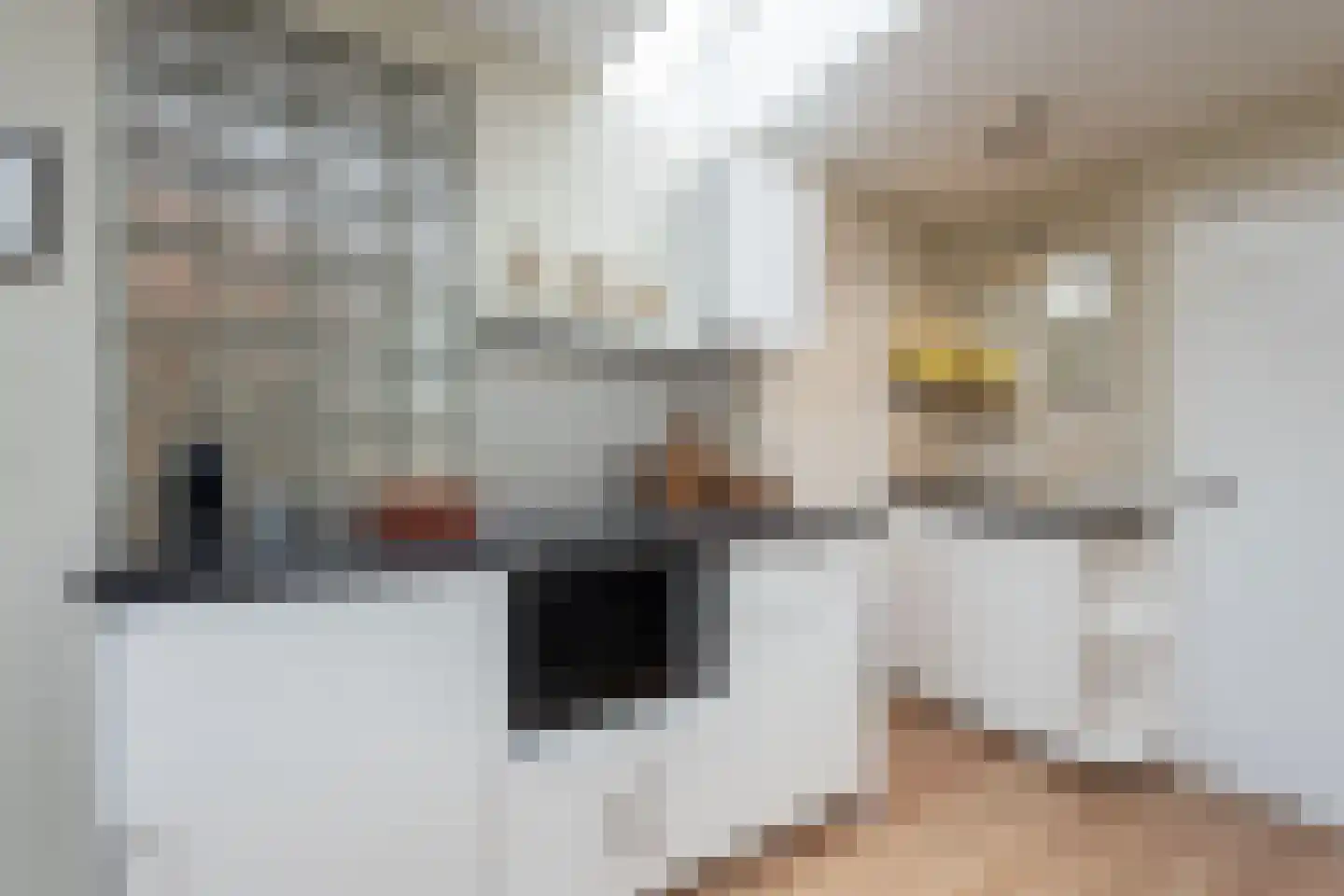 Jacob van Wassenaar Obdamstraat 36 2 Amsterdam thumbnail 19