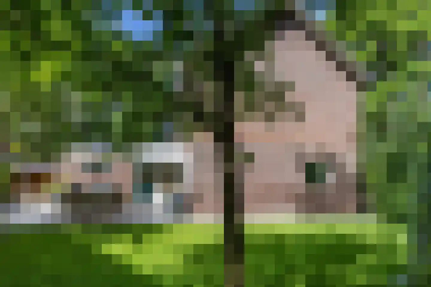 Jacob van Wassenaerlaan 1 Maarn thumbnail 32