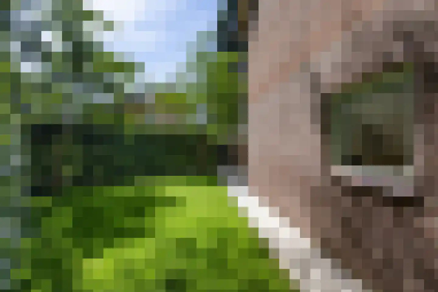 Jacob van Wassenaerlaan 1 Maarn thumbnail 33