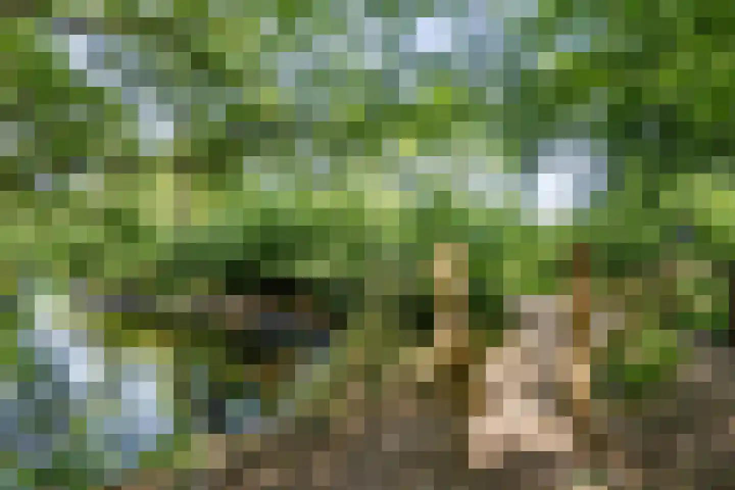 Jacob van Wassenaerlaan 1 Maarn thumbnail 38