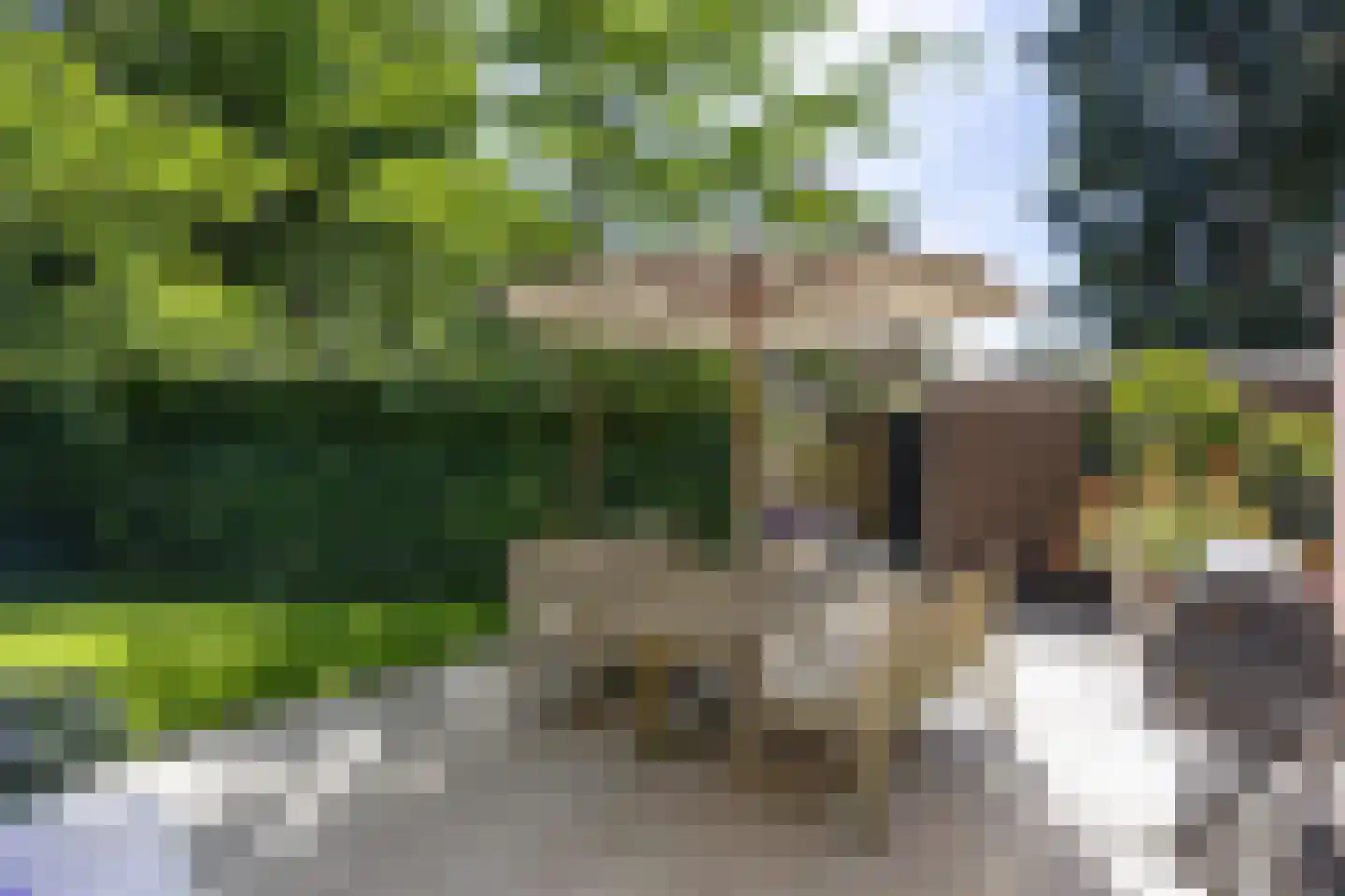Jacob van Wassenaerlaan 1 Maarn thumbnail 4
