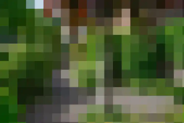 Jacob van Wassenaerstraat 2 Huizen thumbnail 15