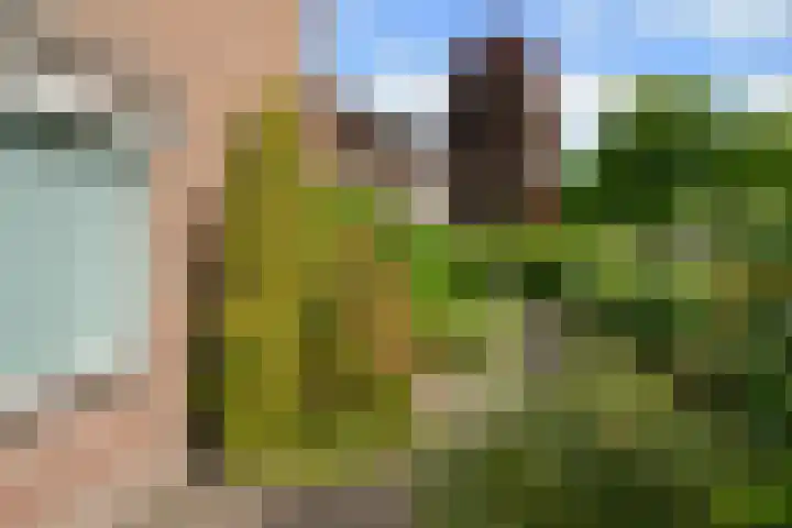 Jacob van Wassenaerstraat 2 Huizen thumbnail 17