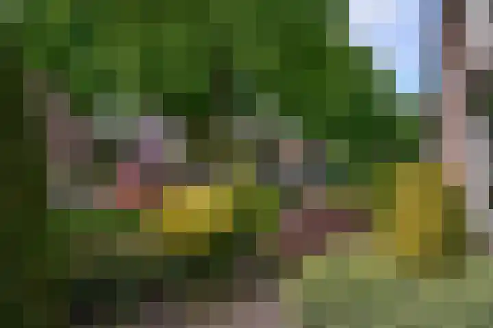 Jacob van Wassenaerstraat 2 Huizen thumbnail 18