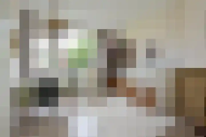 Jacob van Wassenaerstraat 2 Huizen thumbnail 6