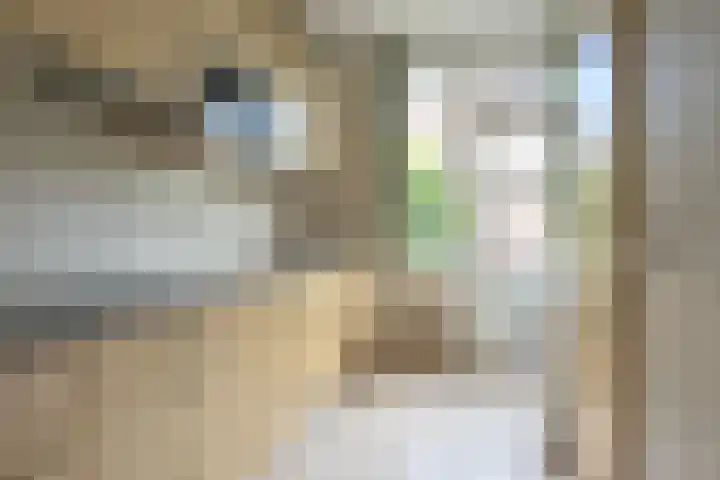 Jacob van Wassenaerstraat 2 Huizen thumbnail 7