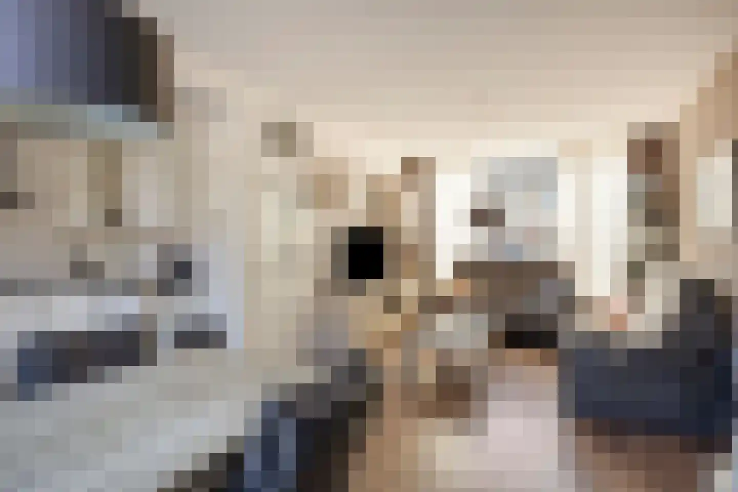 Jacob van Wassenaerstraat 20 Best thumbnail 11