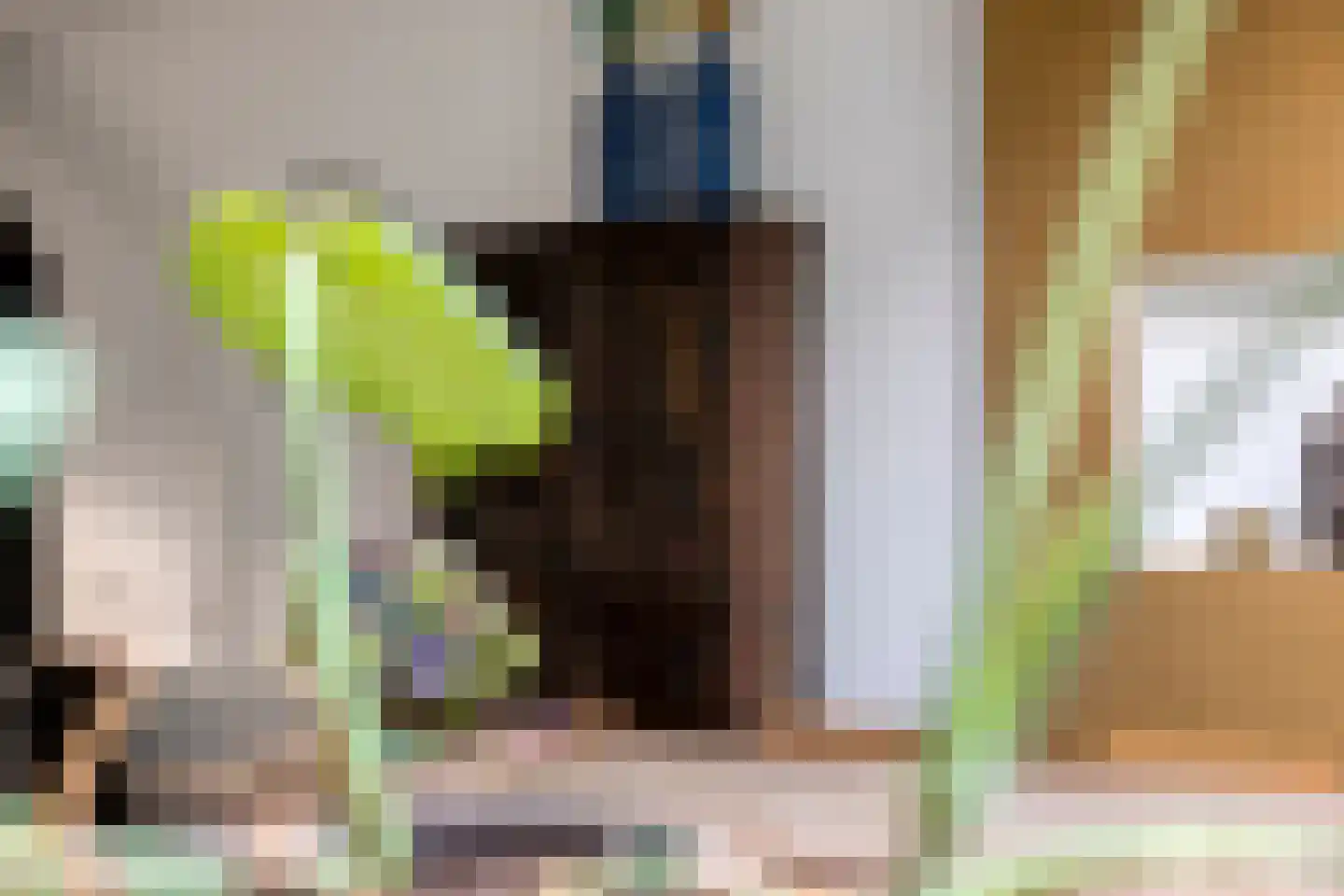 Jacob van Wassenaerstraat 28 Huizen thumbnail 16