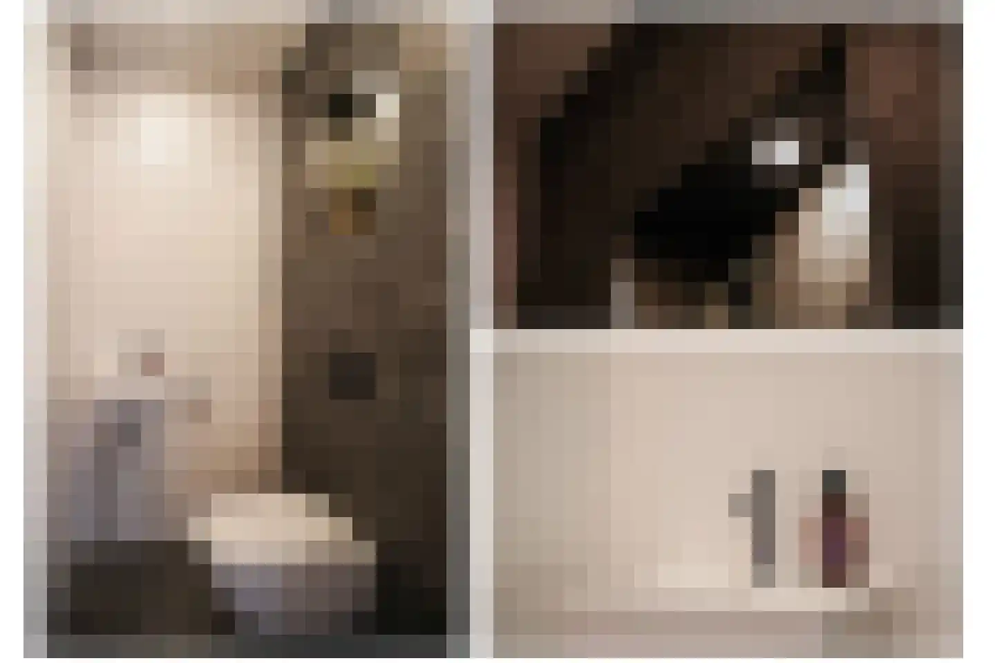 Jacob Westerbaenstraat 26 Utrecht thumbnail 21