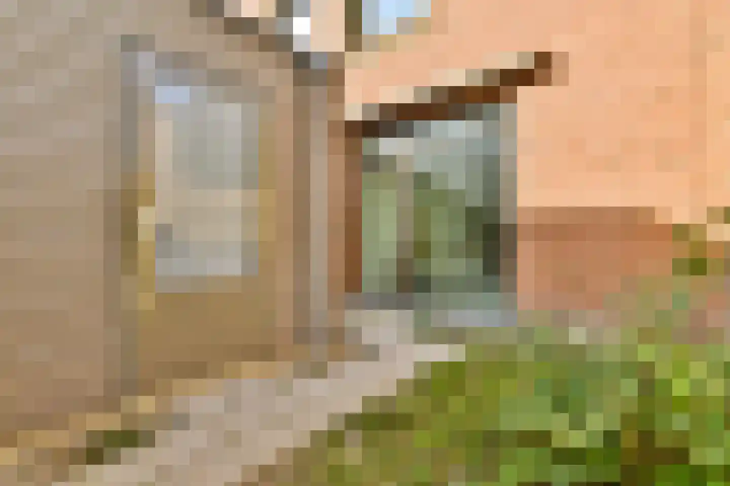 Jacoba Mosselhof 1 Amsterdam thumbnail 13