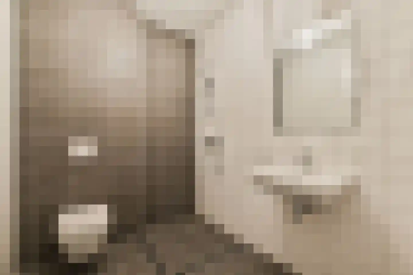 Jacoba Mosselhof 1 Amsterdam thumbnail 21