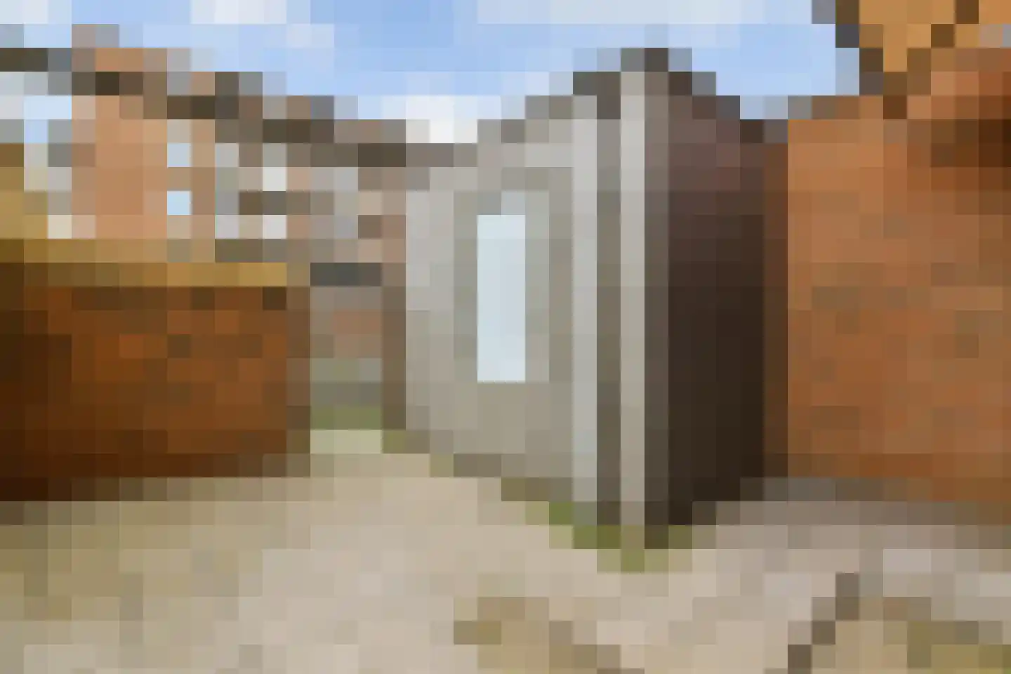Jacoba Mosselhof 1 Amsterdam thumbnail 23