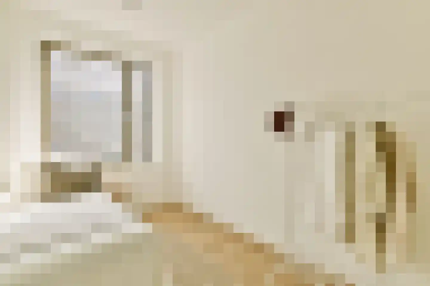 Jacoba Mosselhof 1 Amsterdam thumbnail 25
