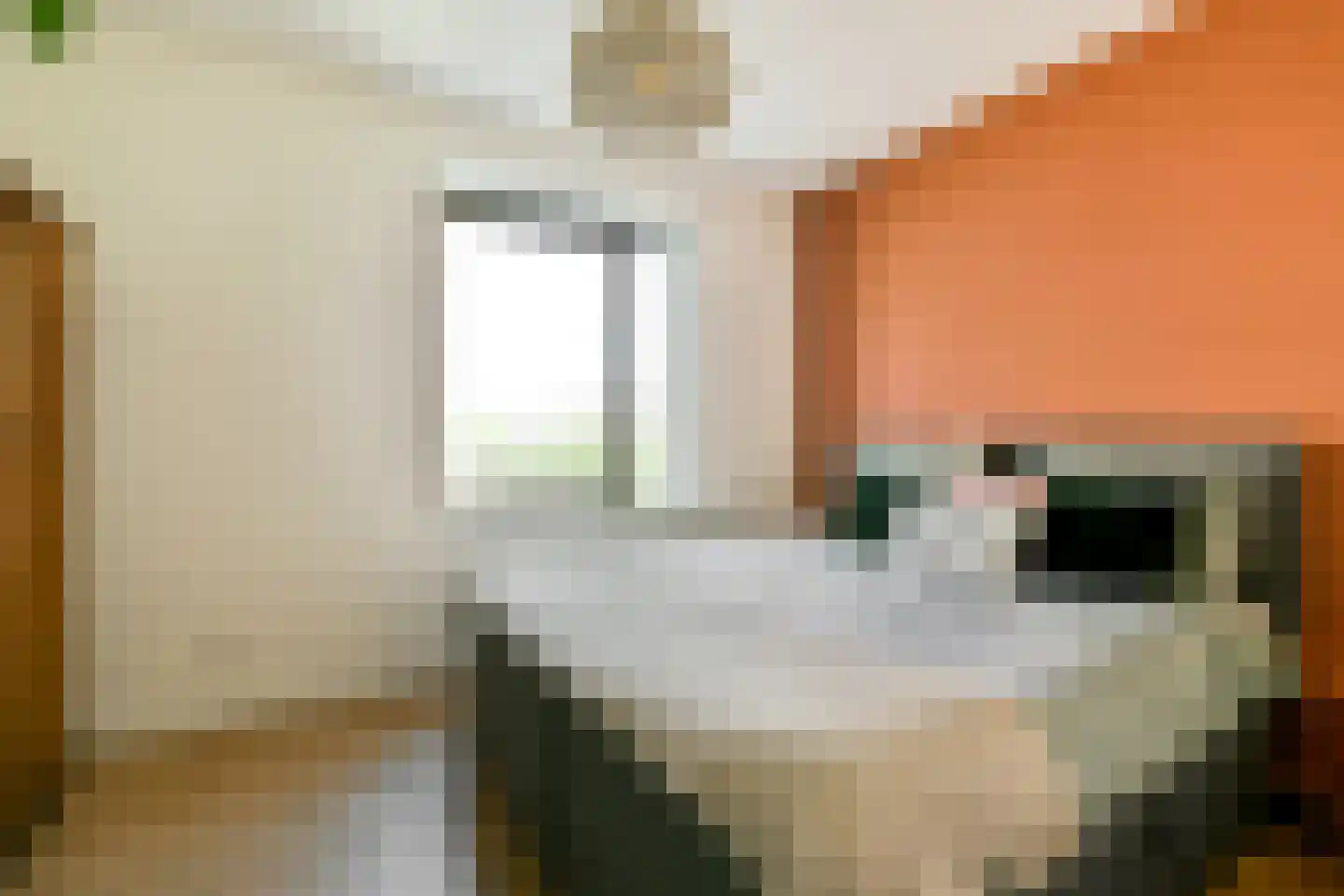 Jacoba Mosselhof 11 Amsterdam thumbnail 19