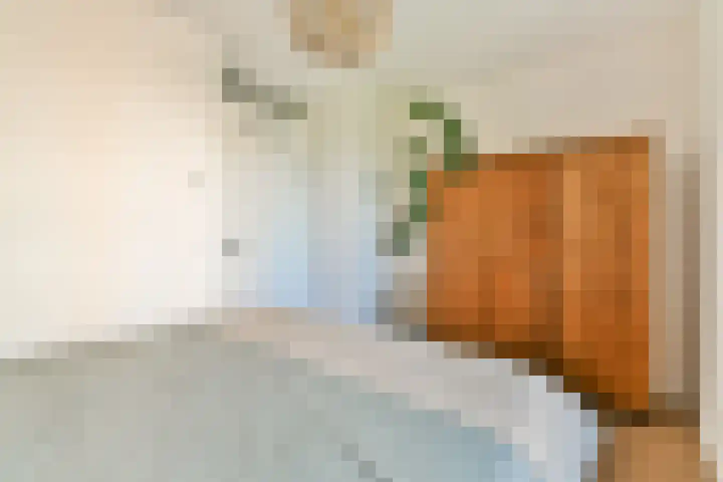 Jacoba Mosselhof 11 Amsterdam thumbnail 20