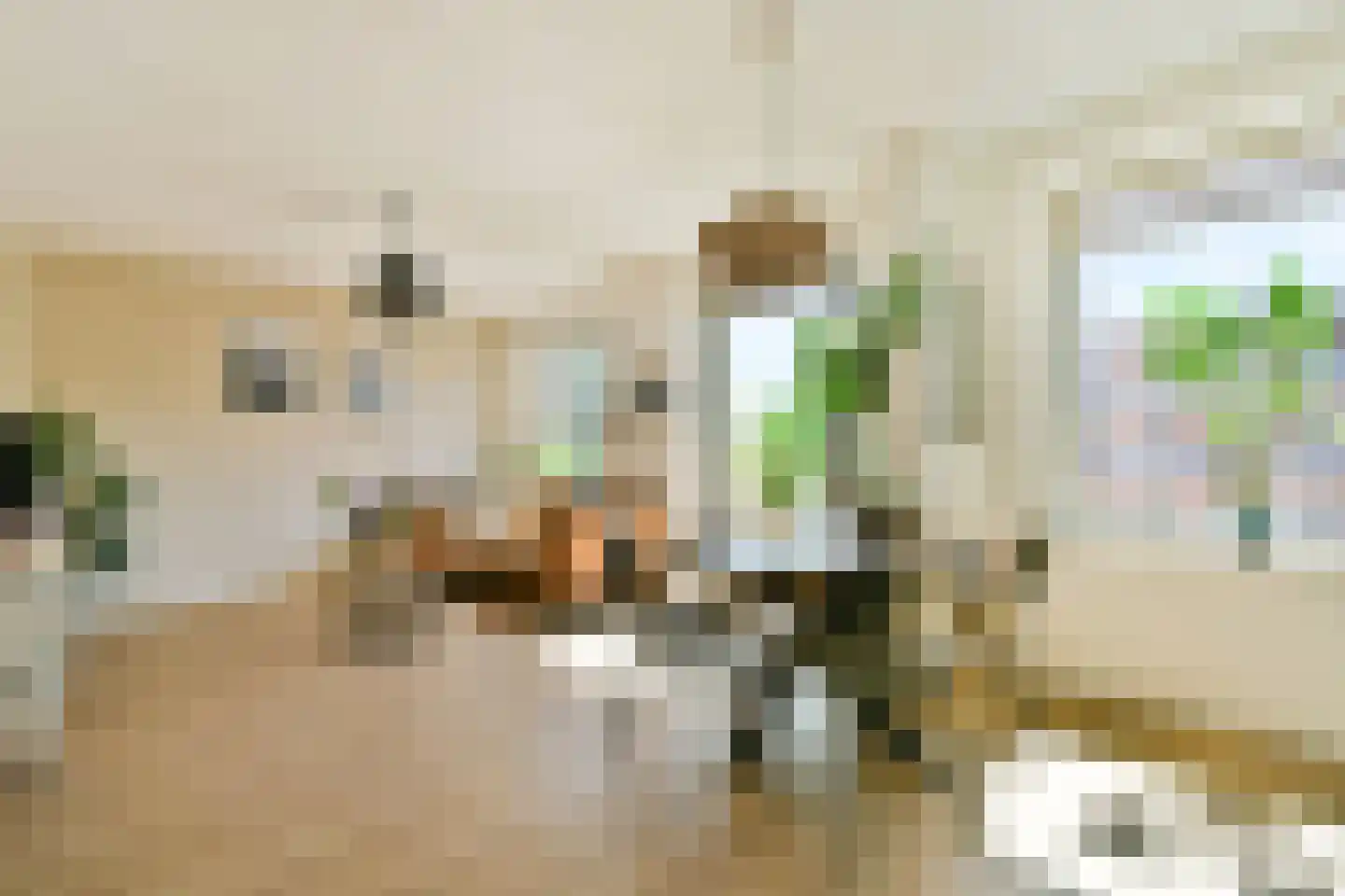 Jacoba Mosselhof 15 Amsterdam thumbnail 6