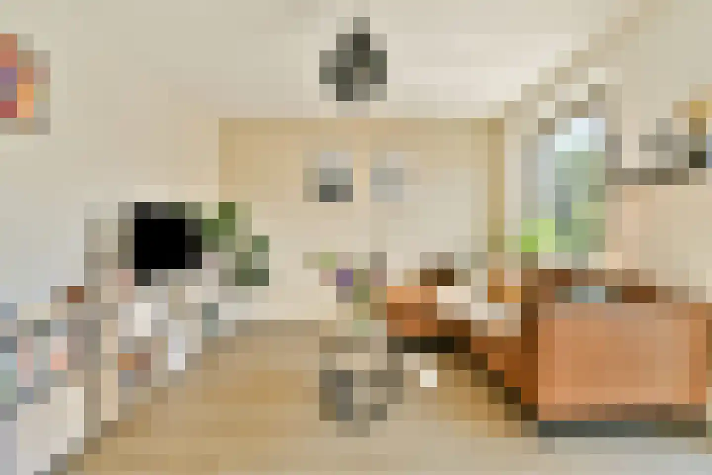 Jacoba Mosselhof 15 Amsterdam thumbnail 8
