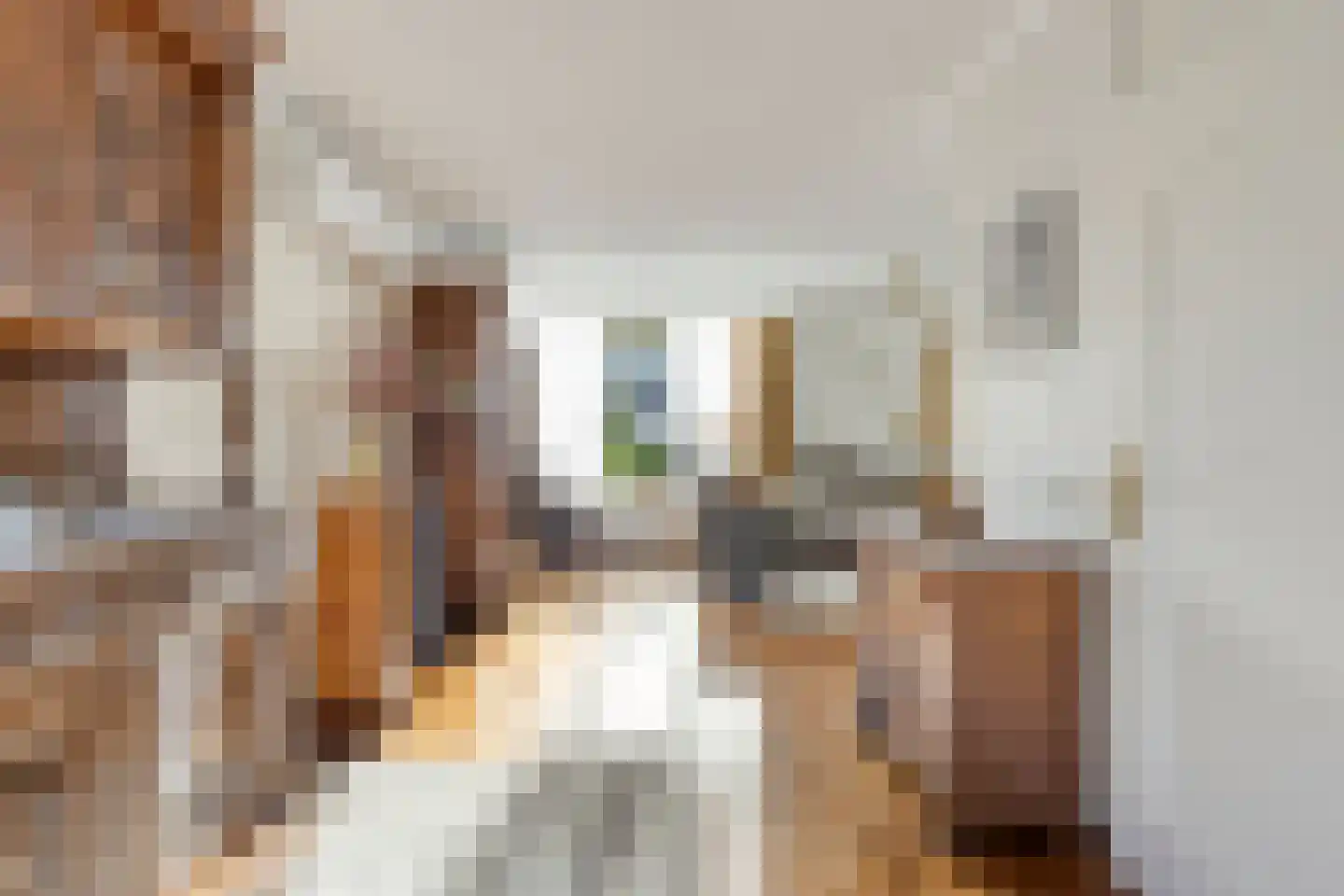Jacoba Pompevliet 59 Barendrecht thumbnail 13