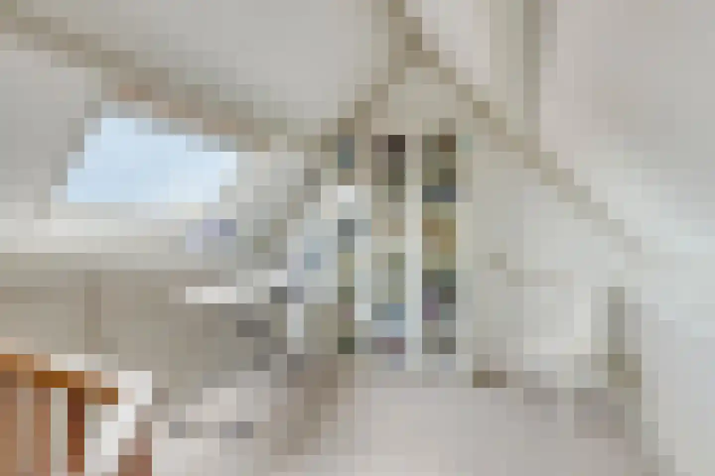 Jacoba Pompevliet 59 Barendrecht thumbnail 33