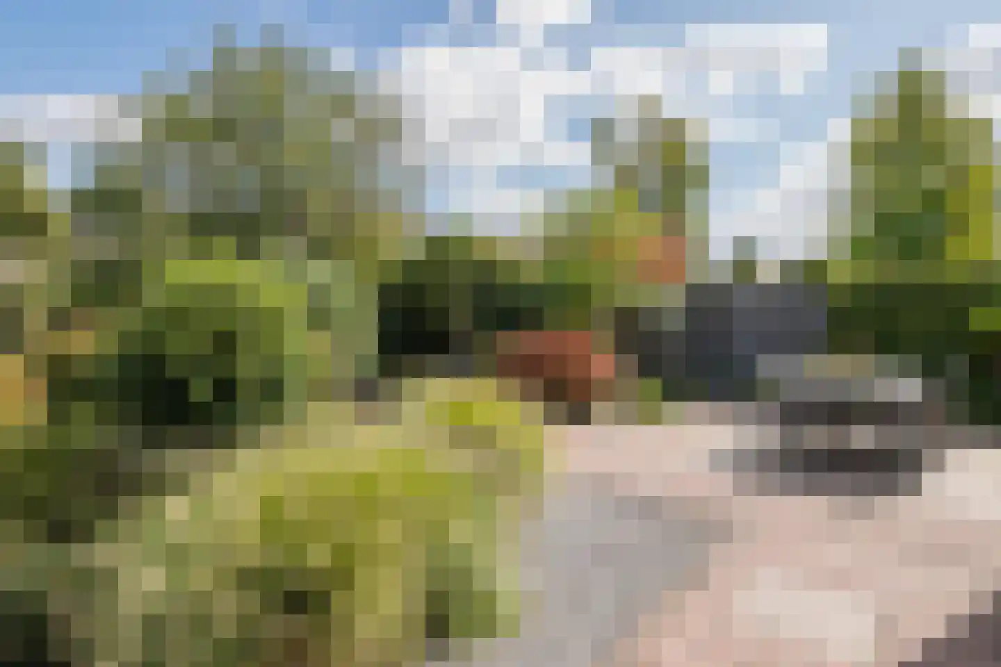 Jacoba Pompevliet 67 Barendrecht thumbnail 32