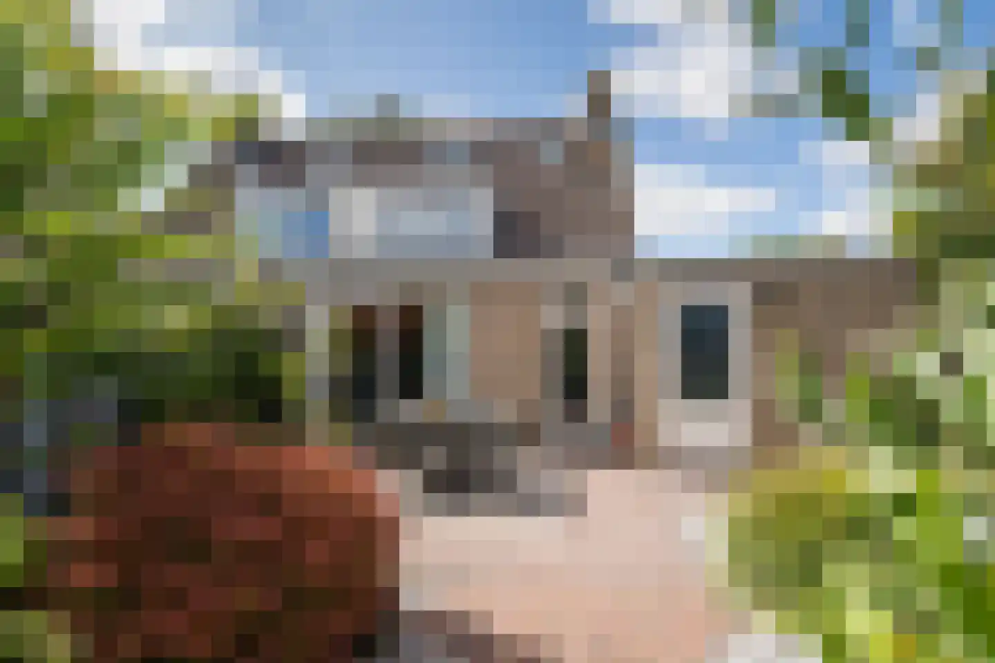 Jacoba Pompevliet 67 Barendrecht thumbnail 5