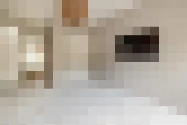Jacoba Pulskensstraat 9 Best thumbnail 35