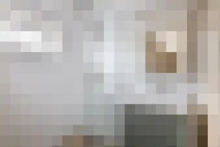 Jacoba Pulskensstraat 9 Best thumbnail 38