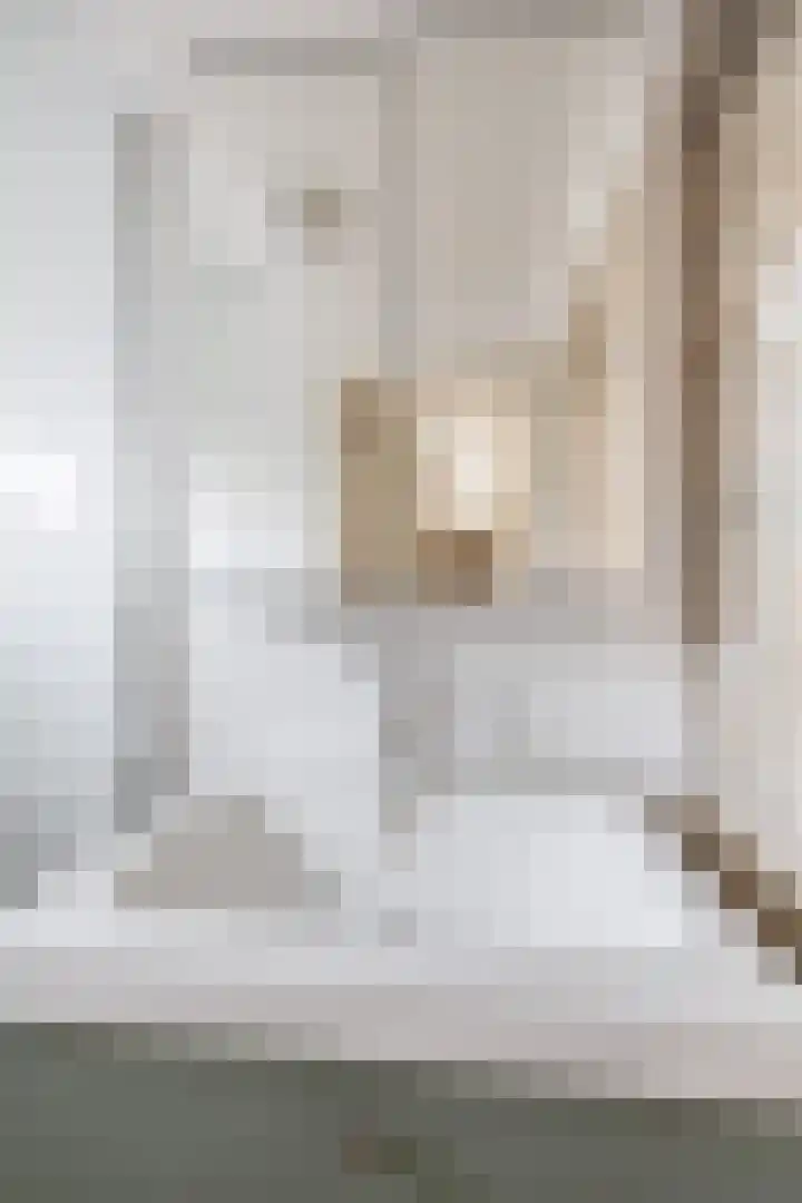Jacoba Pulskensstraat 9 Best thumbnail 39