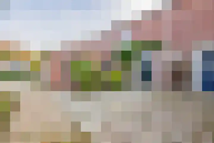 Jacoba Pulskensstraat 9 Best thumbnail 41