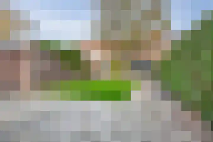 Jacoba Pulskensstraat 9 Best thumbnail 43