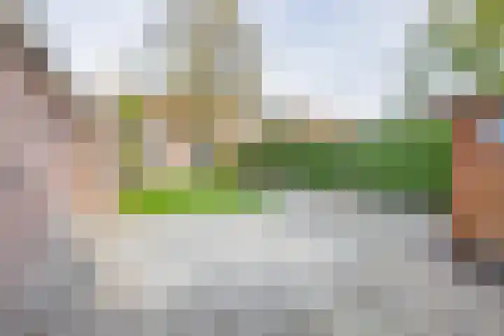 Jacoba Pulskensstraat 9 Best thumbnail 45