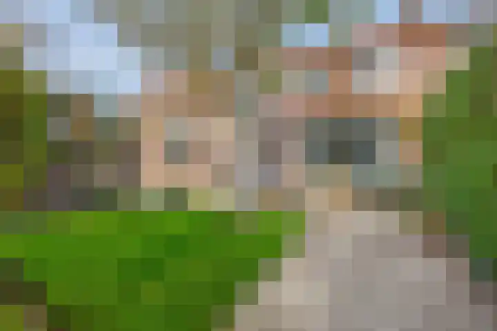 Jacoba Pulskensstraat 9 Best thumbnail 47