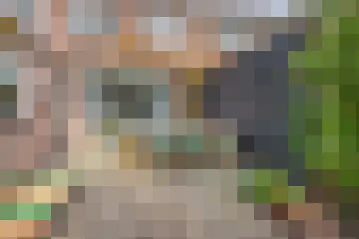 Jacoba Pulskensstraat 9 Best thumbnail 48