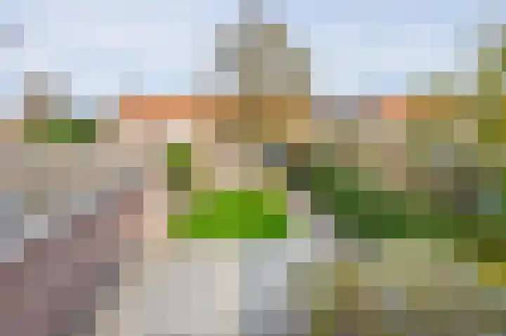Jacoba Pulskensstraat 9 Best thumbnail 50