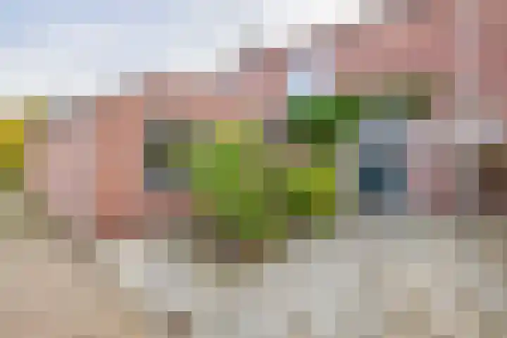 Jacoba Pulskensstraat 9 Best thumbnail 6