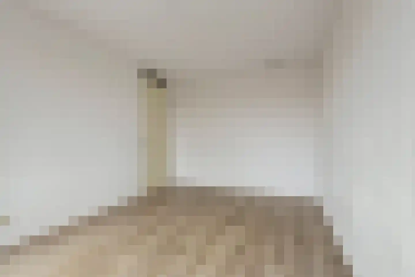 Jacoba van Beierenhof 12 Voorhout thumbnail 36